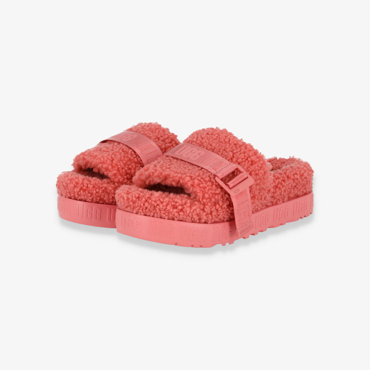 Pbsm Fluffita
