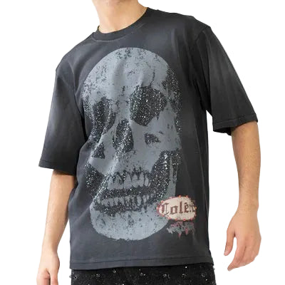 Hudson T-Shirt - Skull - Grey - 667