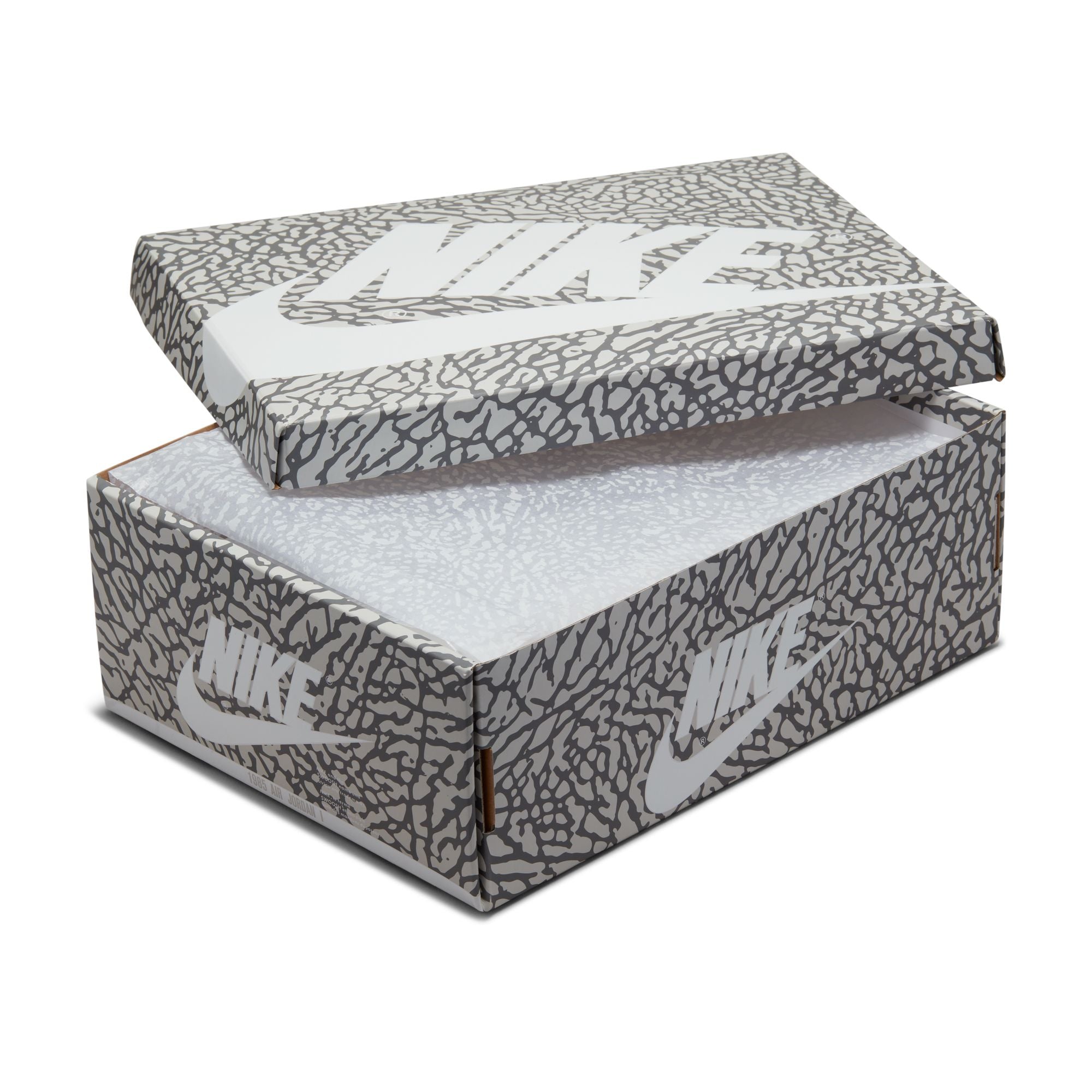 Air Jordan 1 Low OG Big GS