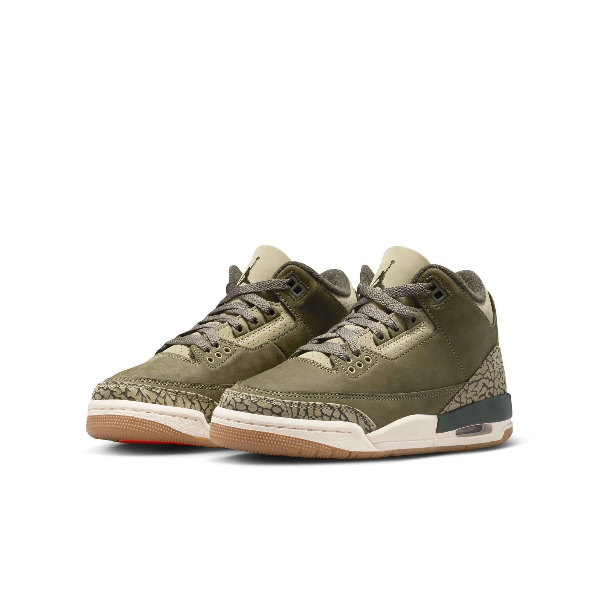 Air Jordan 3 Retro Family Affair GS