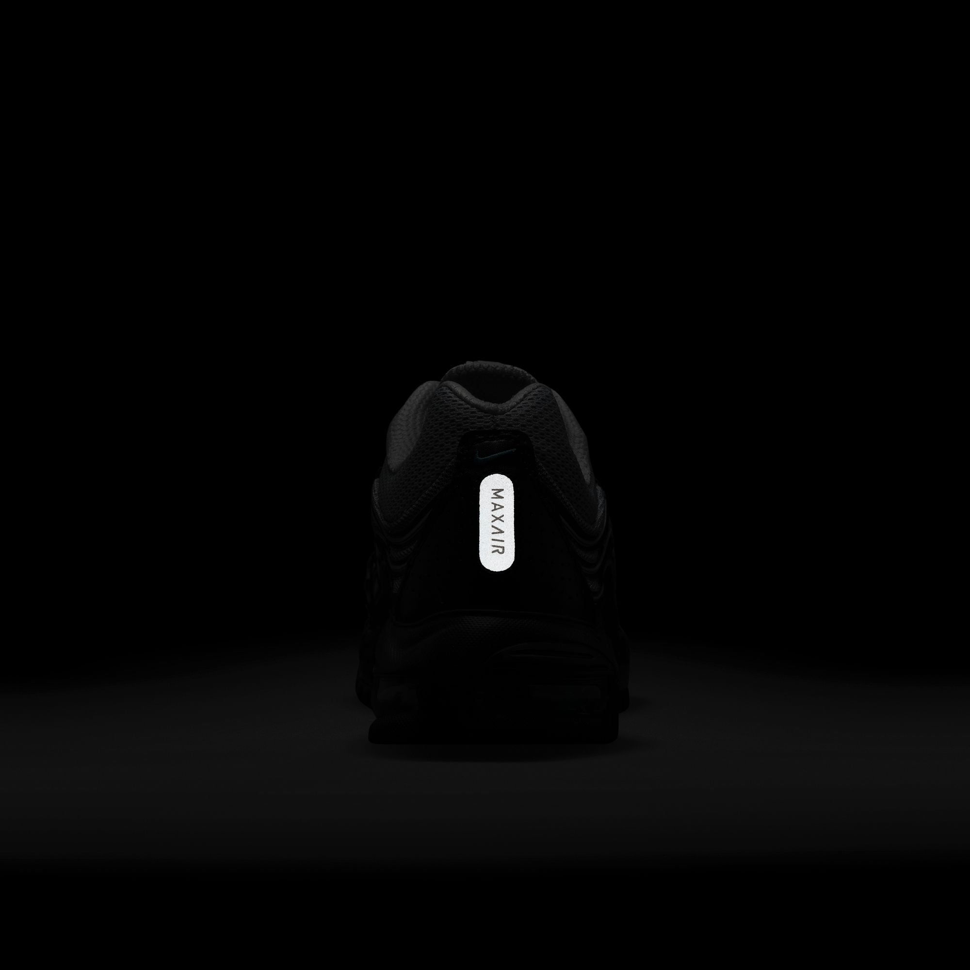 Air Max TL 2.5 Wolf Grey Dusty Cactus