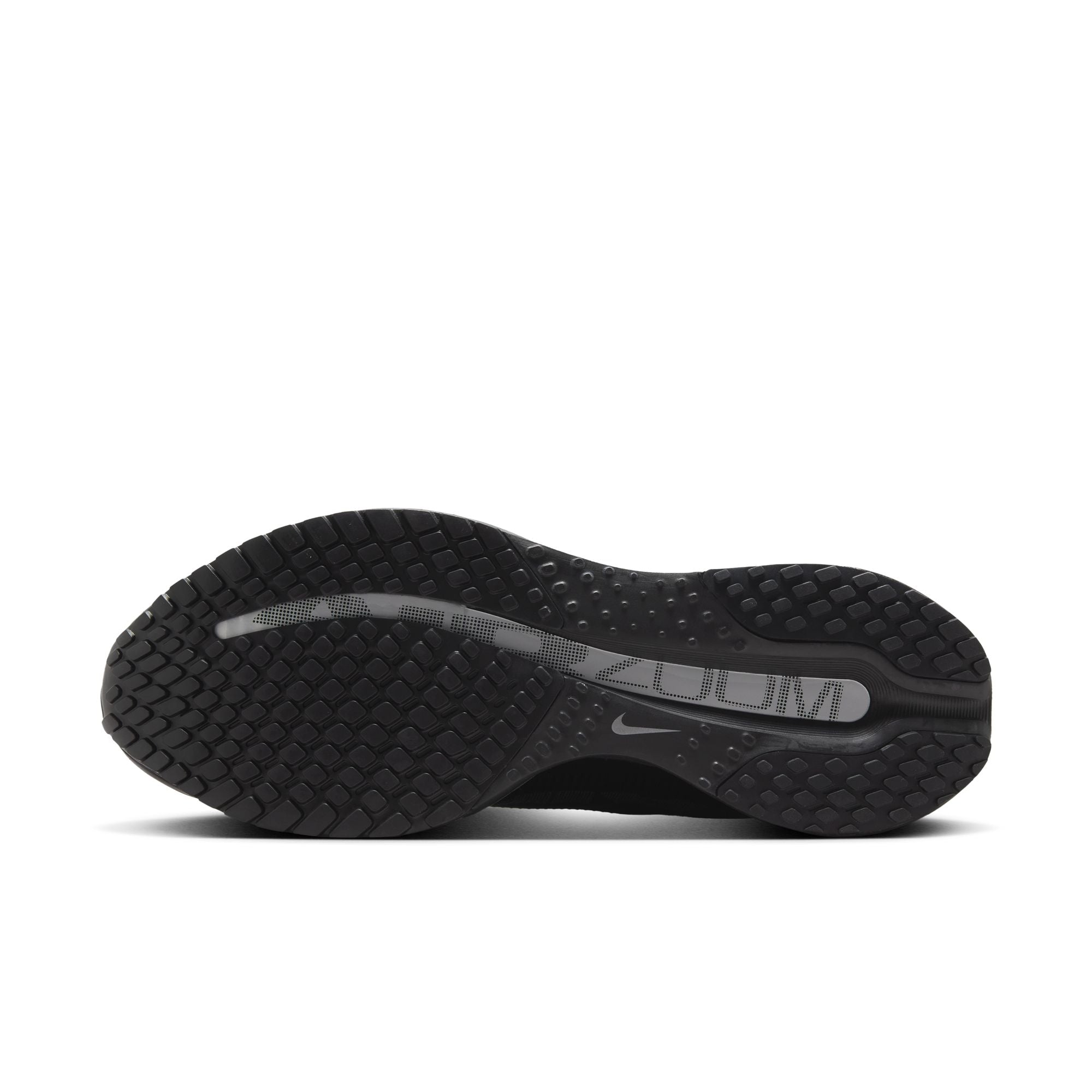 Air Zoom Pegasus Premium Black Metallic Silver