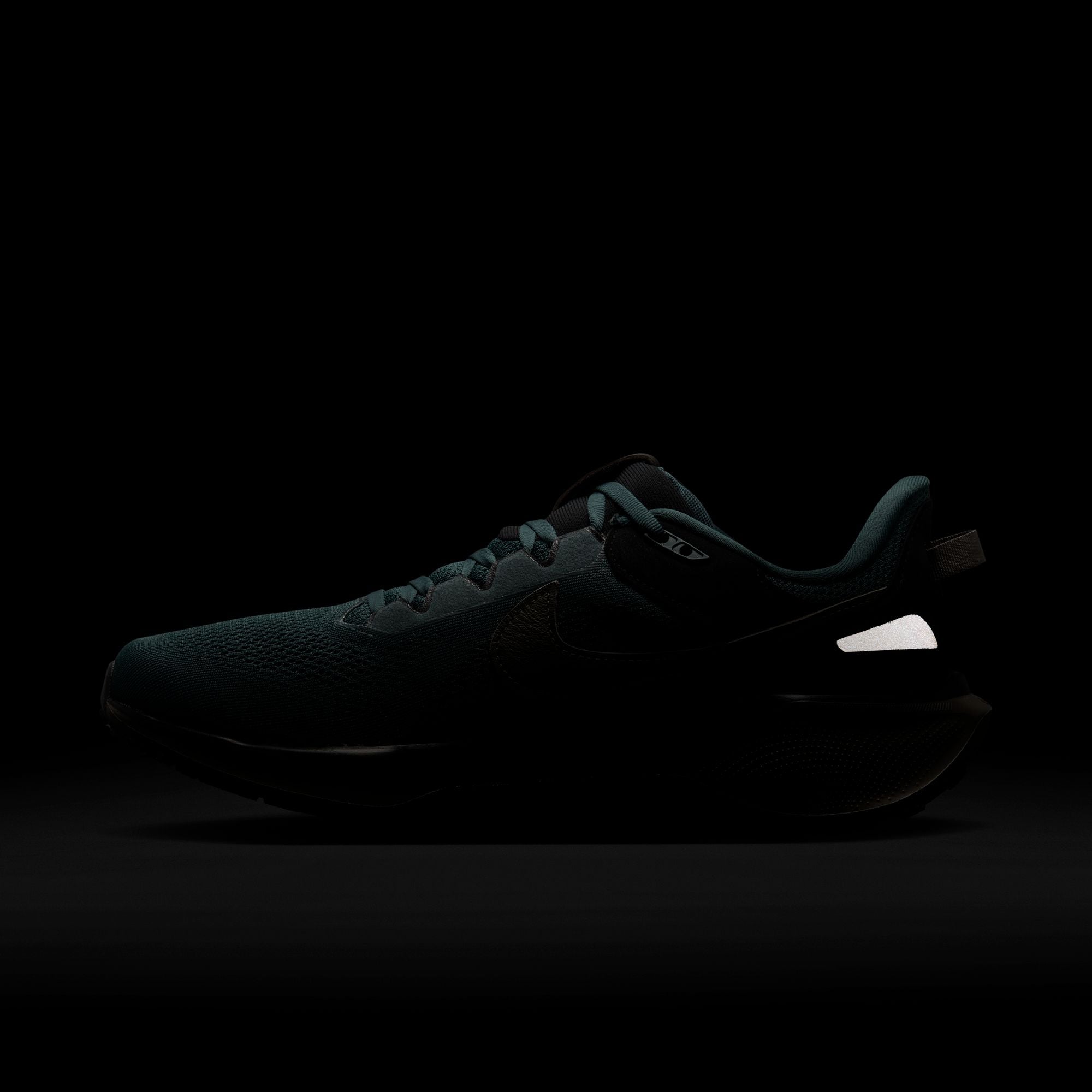 Air Zoom Pegasus 41 SP Faded Spruce