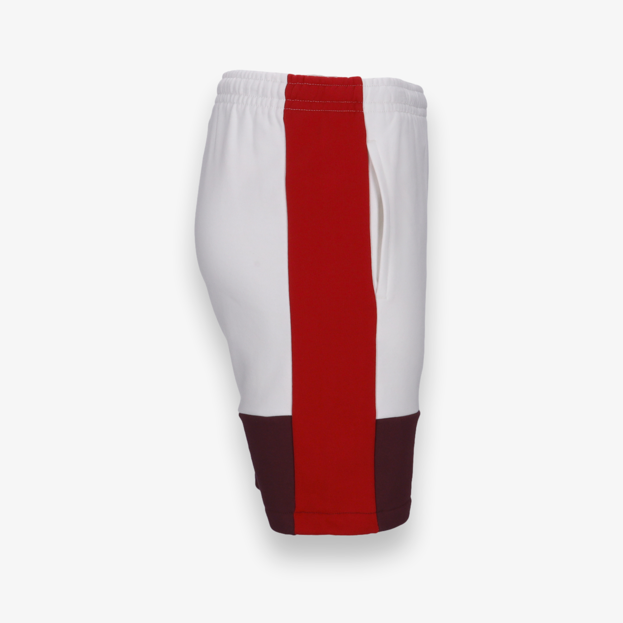 Regular Fit Colorblock Shorts