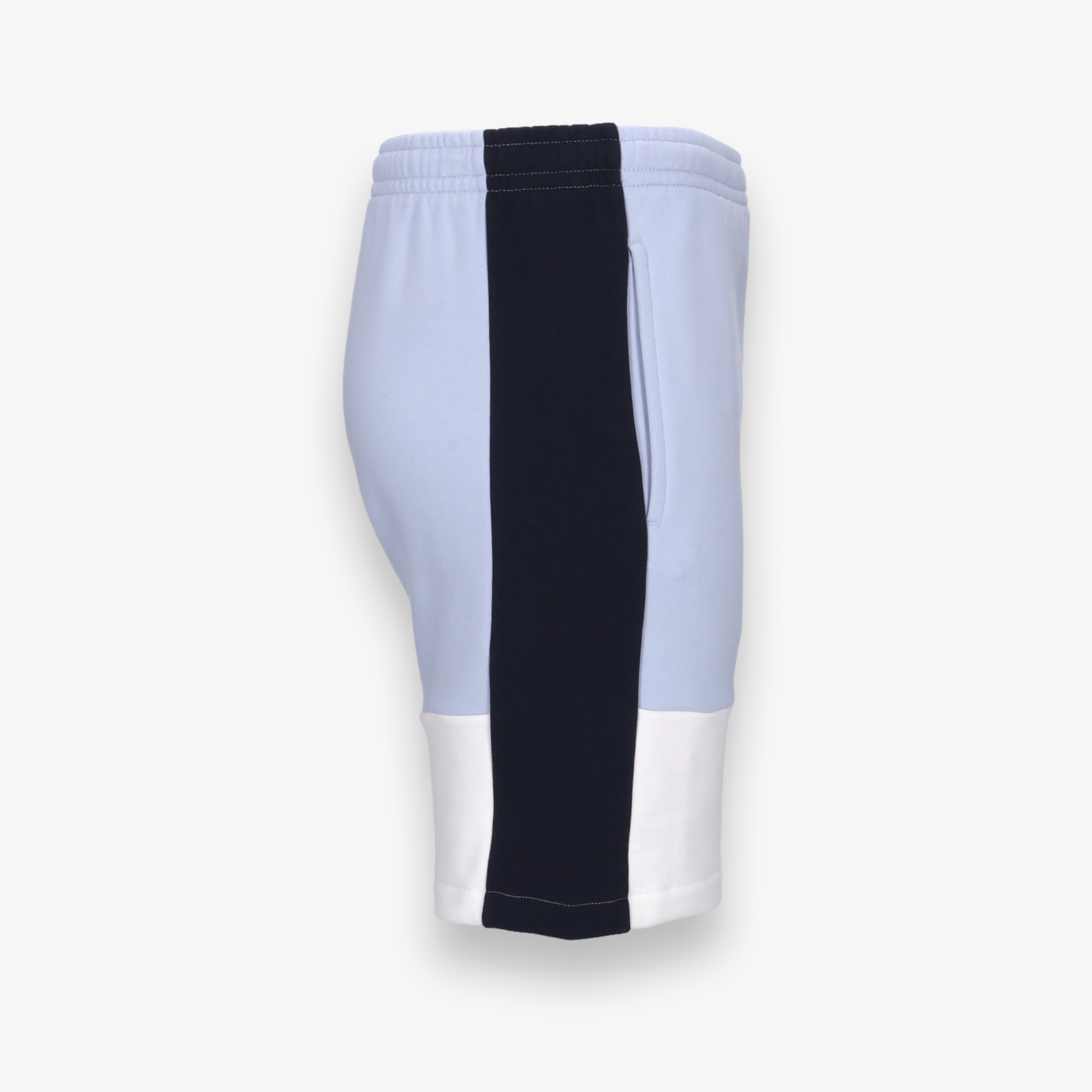 Regular Fit Colorblock Shorts