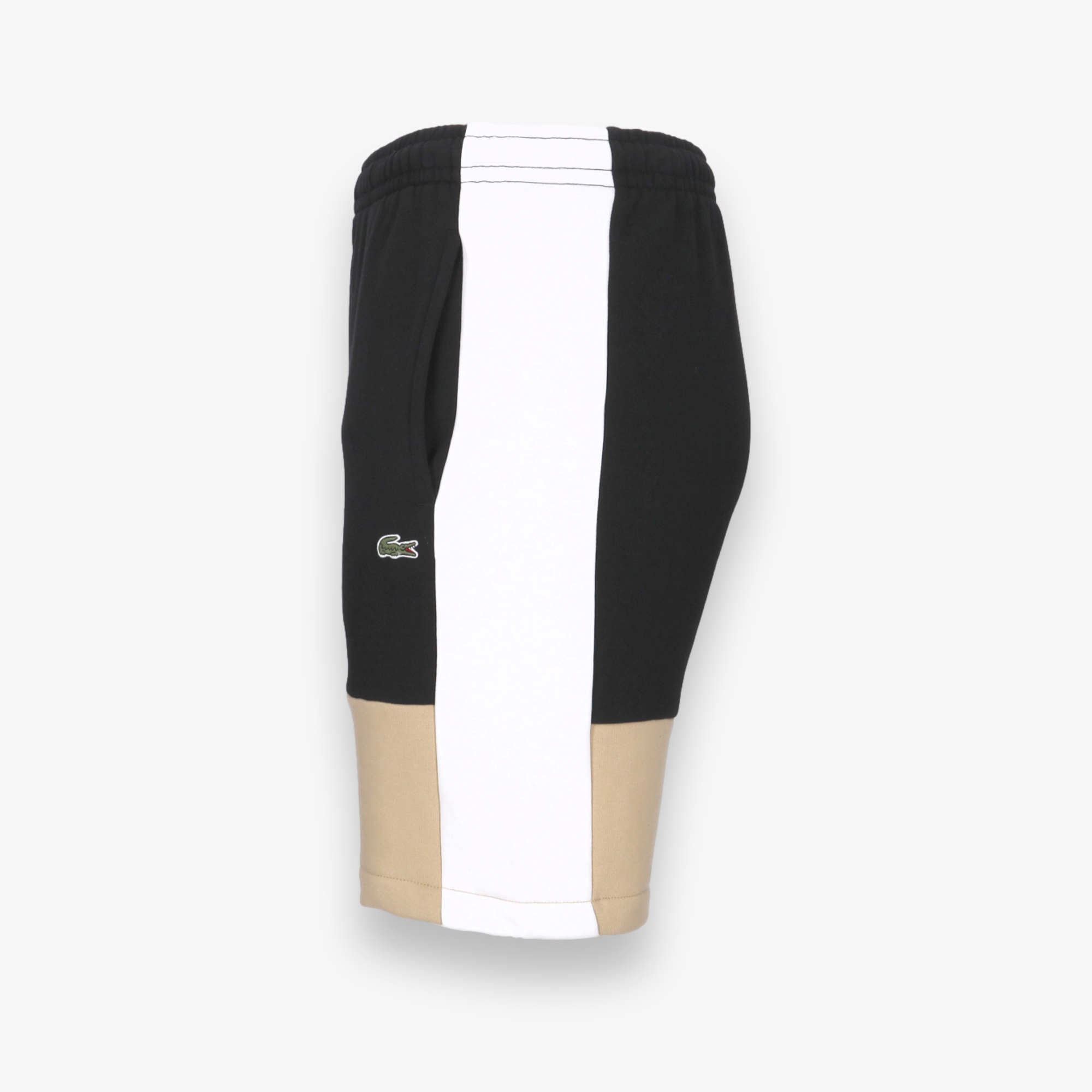 Regular Fit Colorblock Shorts