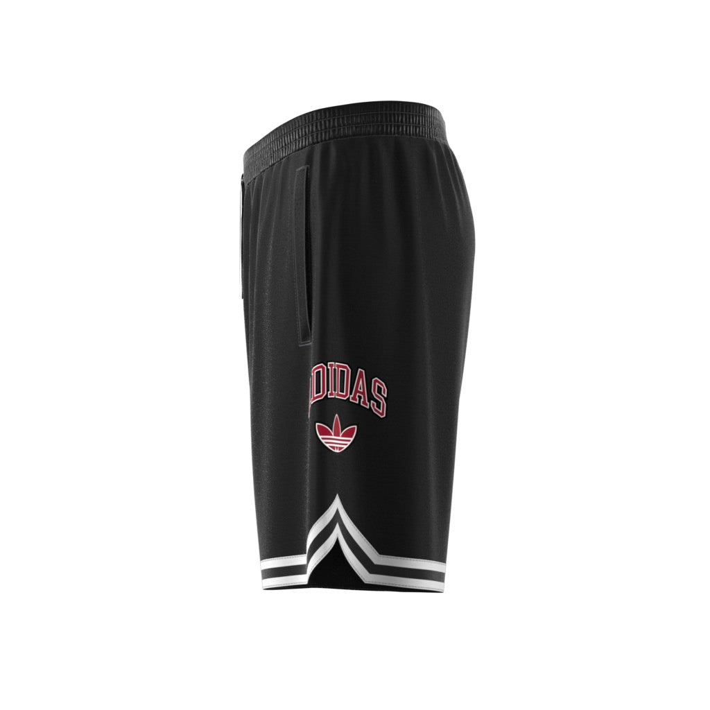 Ext Q12 Varsity Shorts