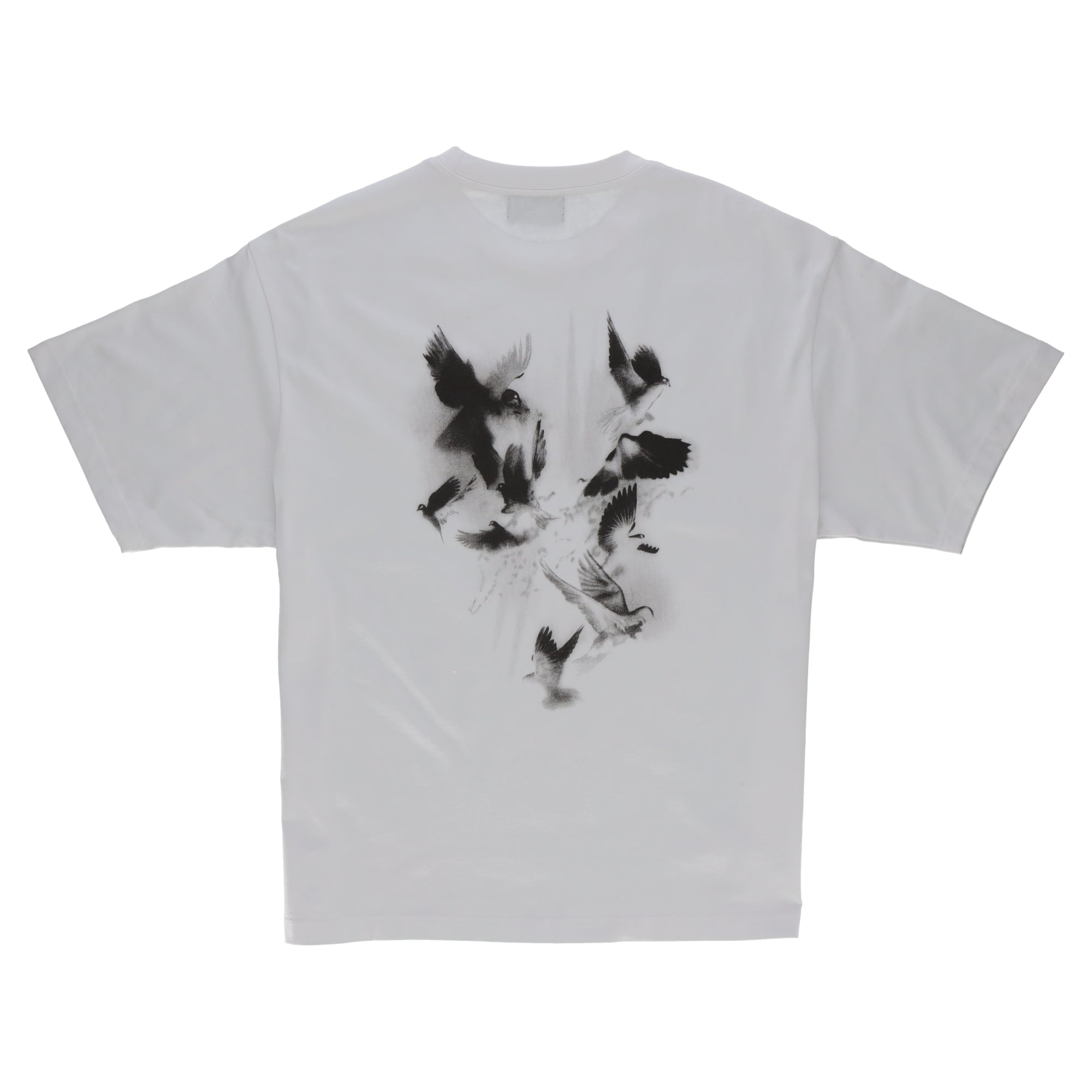 Colin White Doves Back