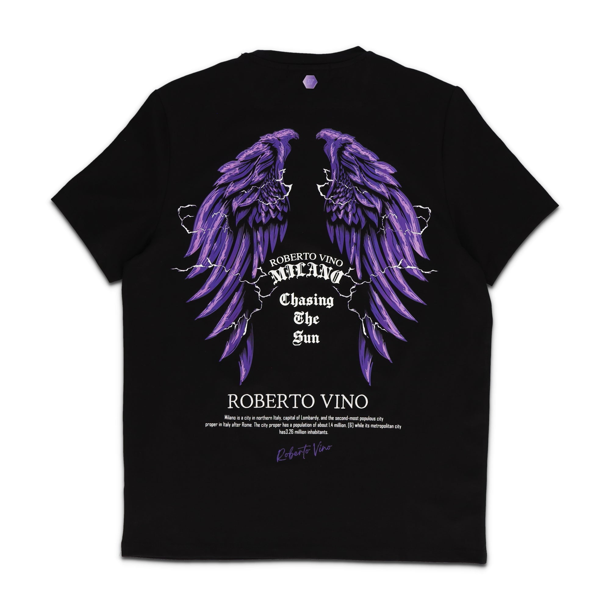 Chasing The Sun RV Cracks T shirt Black