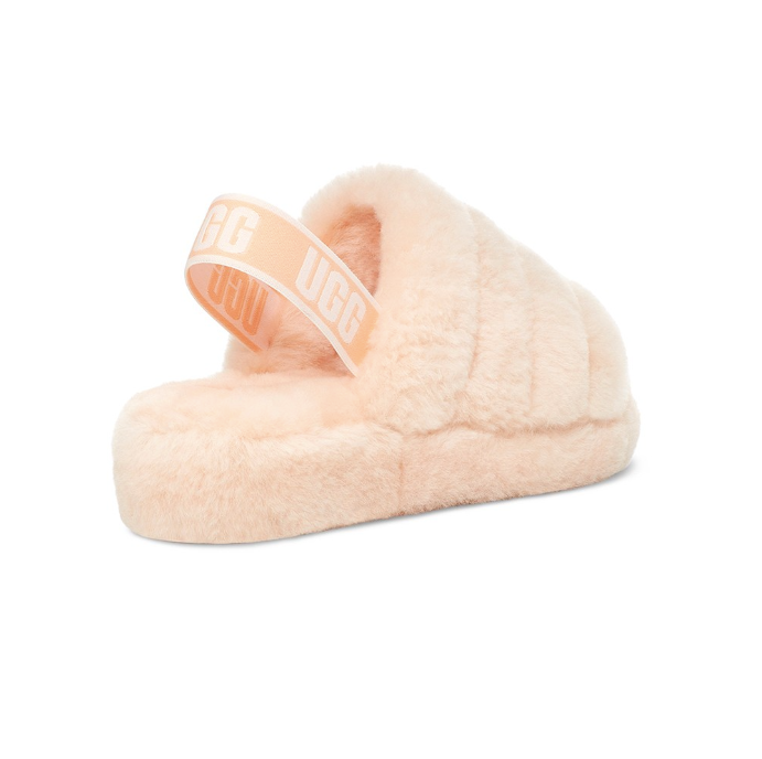 Fluff Yeah Slide Scallop