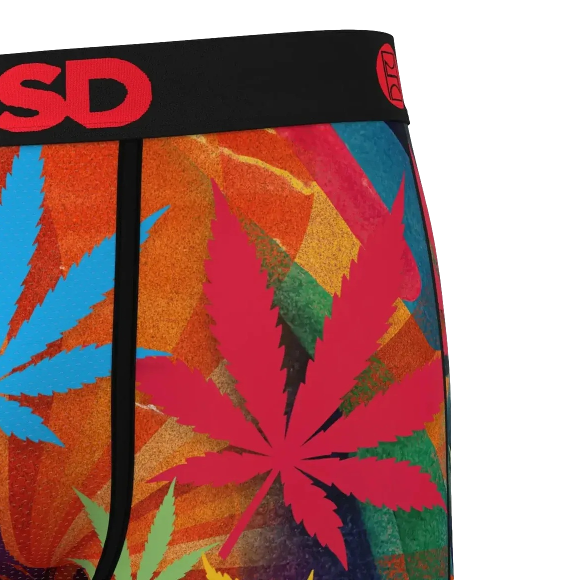 I See Hue Boxer Breif