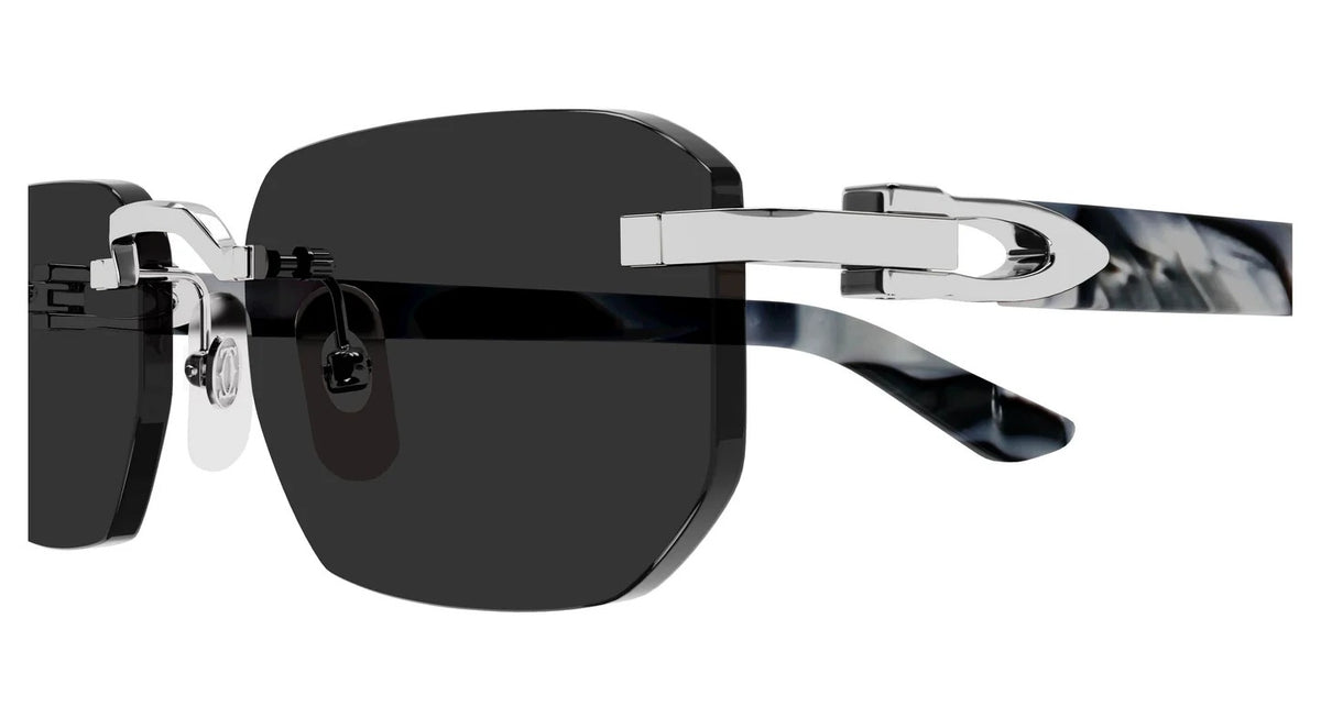 CT0622S 005 53 Sun Glasses