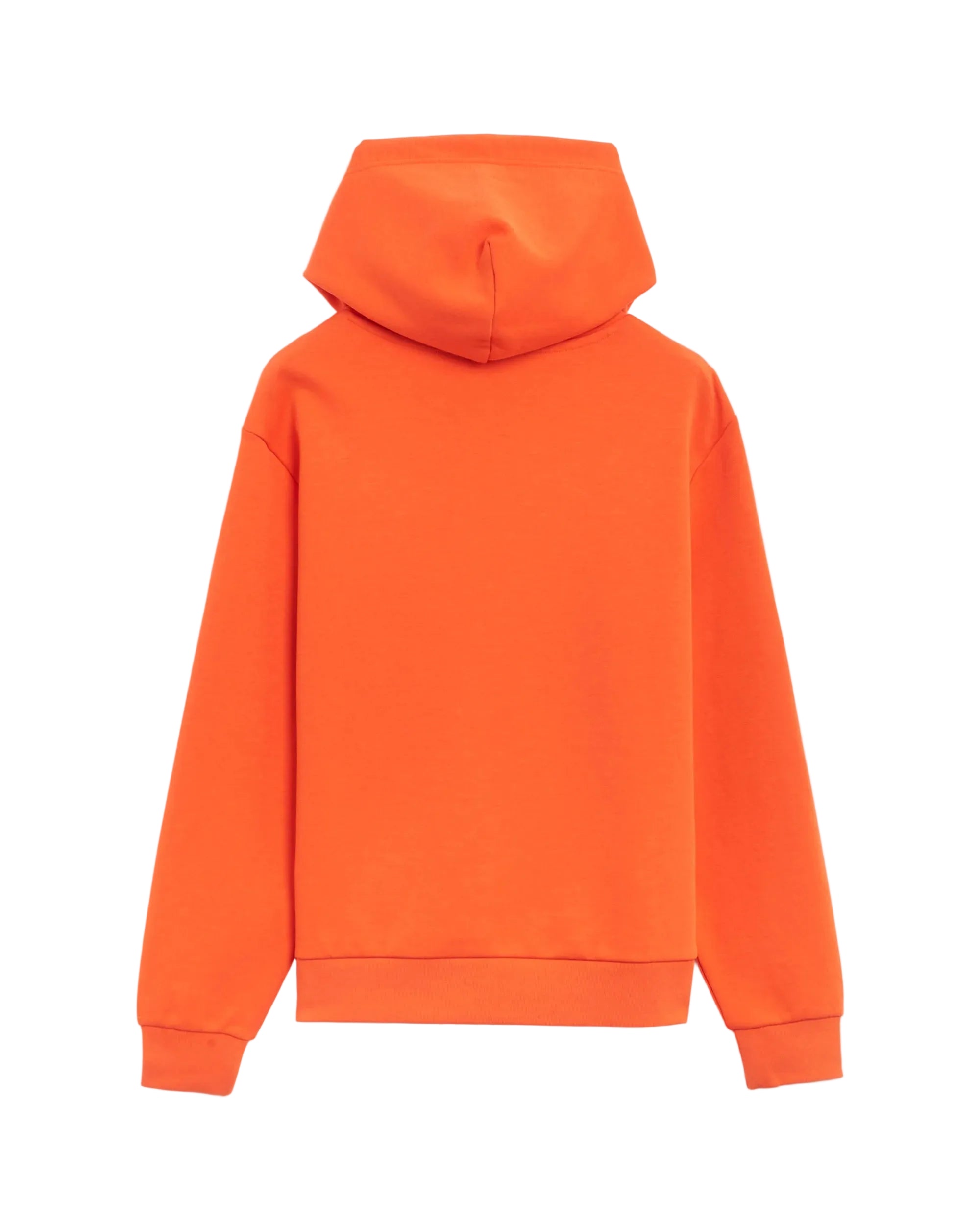 Double Knit Tech Embroidered Script Graphic Pullover Hoodie