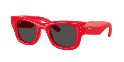 Ray-Ban Wayfarer Puffer by A$AP Rocky