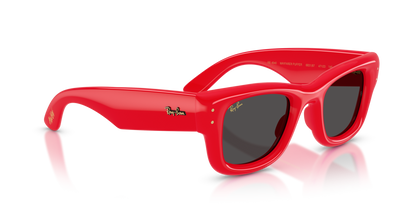 Ray-Ban Wayfarer Puffer by A$AP Rocky