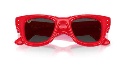 Ray-Ban Wayfarer Puffer by A$AP Rocky
