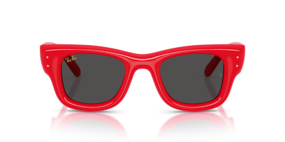 Ray-Ban Wayfarer Puffer by A$AP Rocky