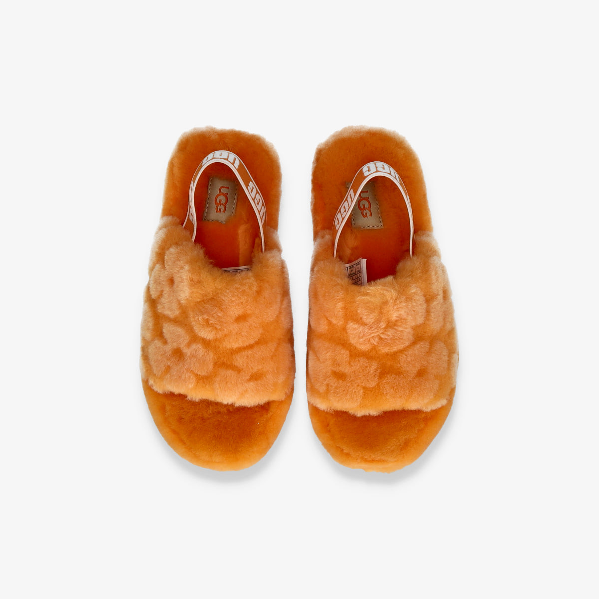 1119839K-CPPP-P.S Fluff Yeah Poppy