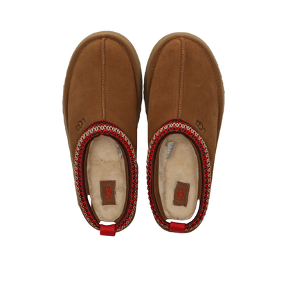 Tazz Chestnut Slippers