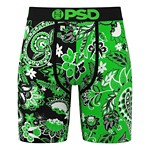 Lucky Paisley Brief (Blur Img)