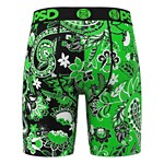 Lucky Paisley Brief (Blur Img)