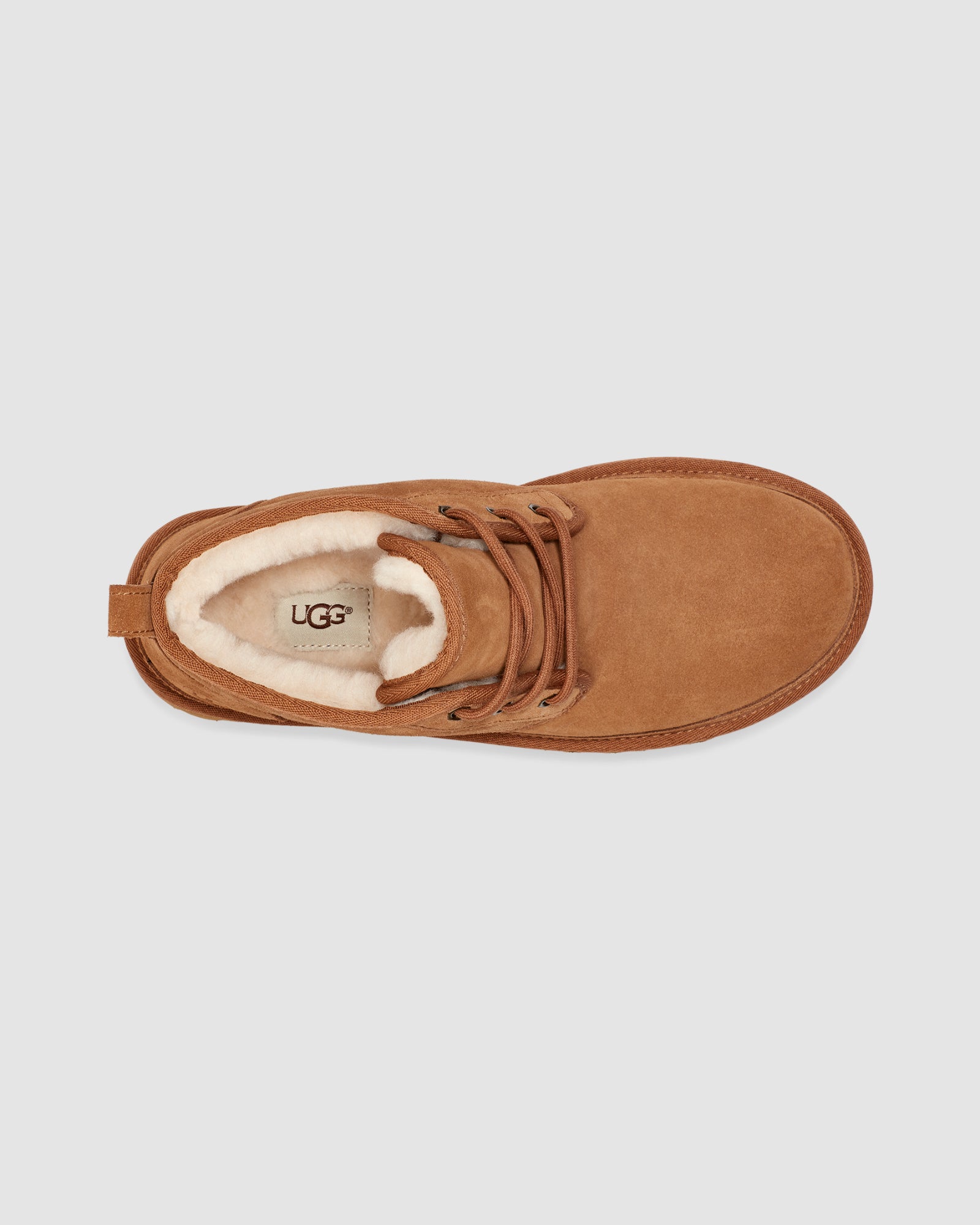 Neumel Chestnut
