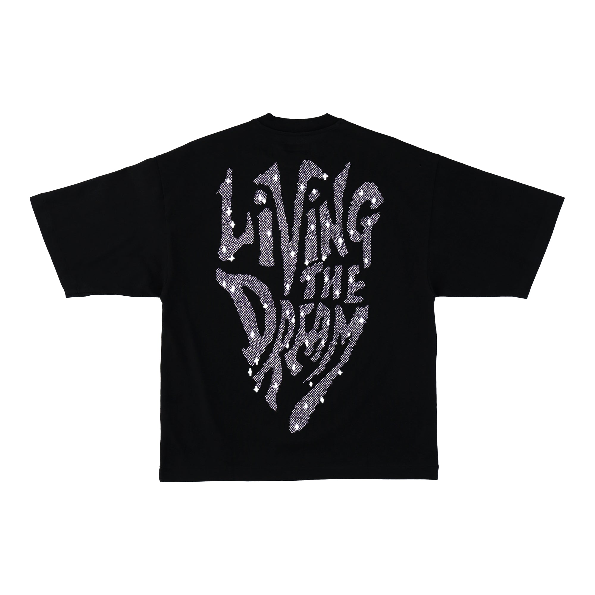 Oversized Living The Dream Short Sleeve Crewneck T-Shirt