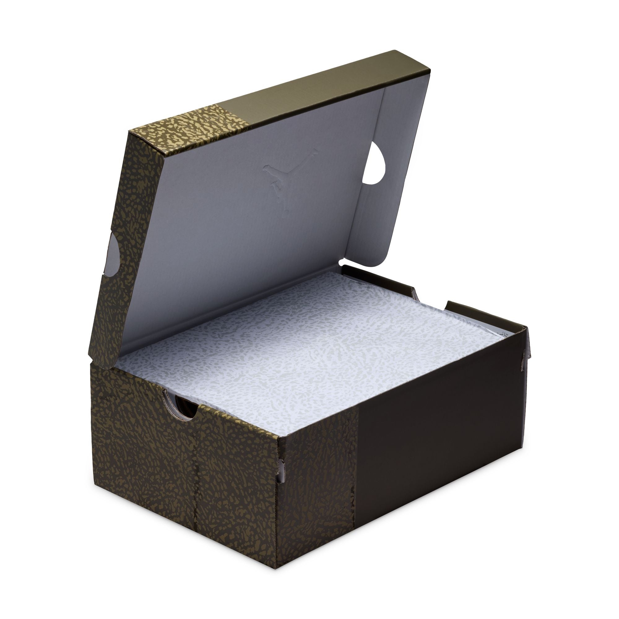 Air Jordan 3 Retro Family Affair GS