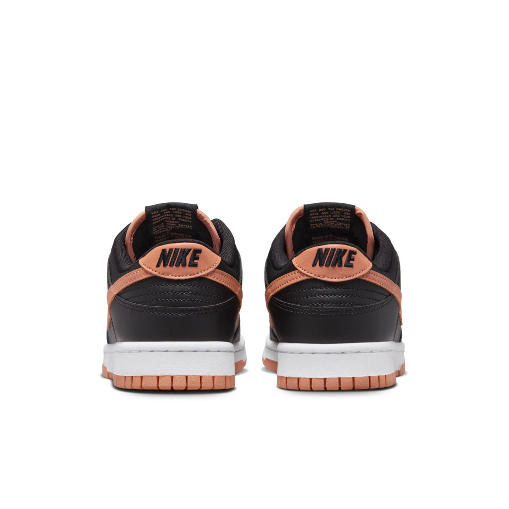 DV0831-004-Men Dunk Low Retro