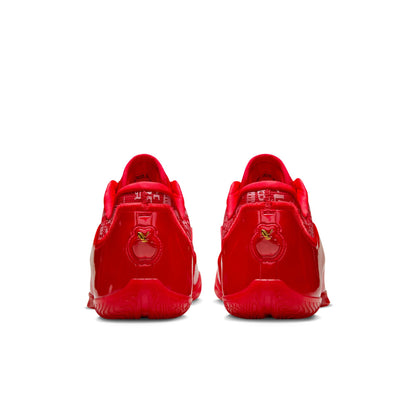 LeBron 23 Best in Class (Translucent Outsole)