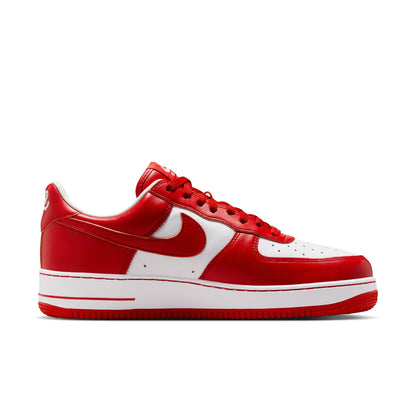 Air Force 1 Low x Terror Squad