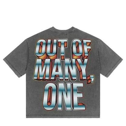 Eagle Eye Grey Wash Gray T-Shirt