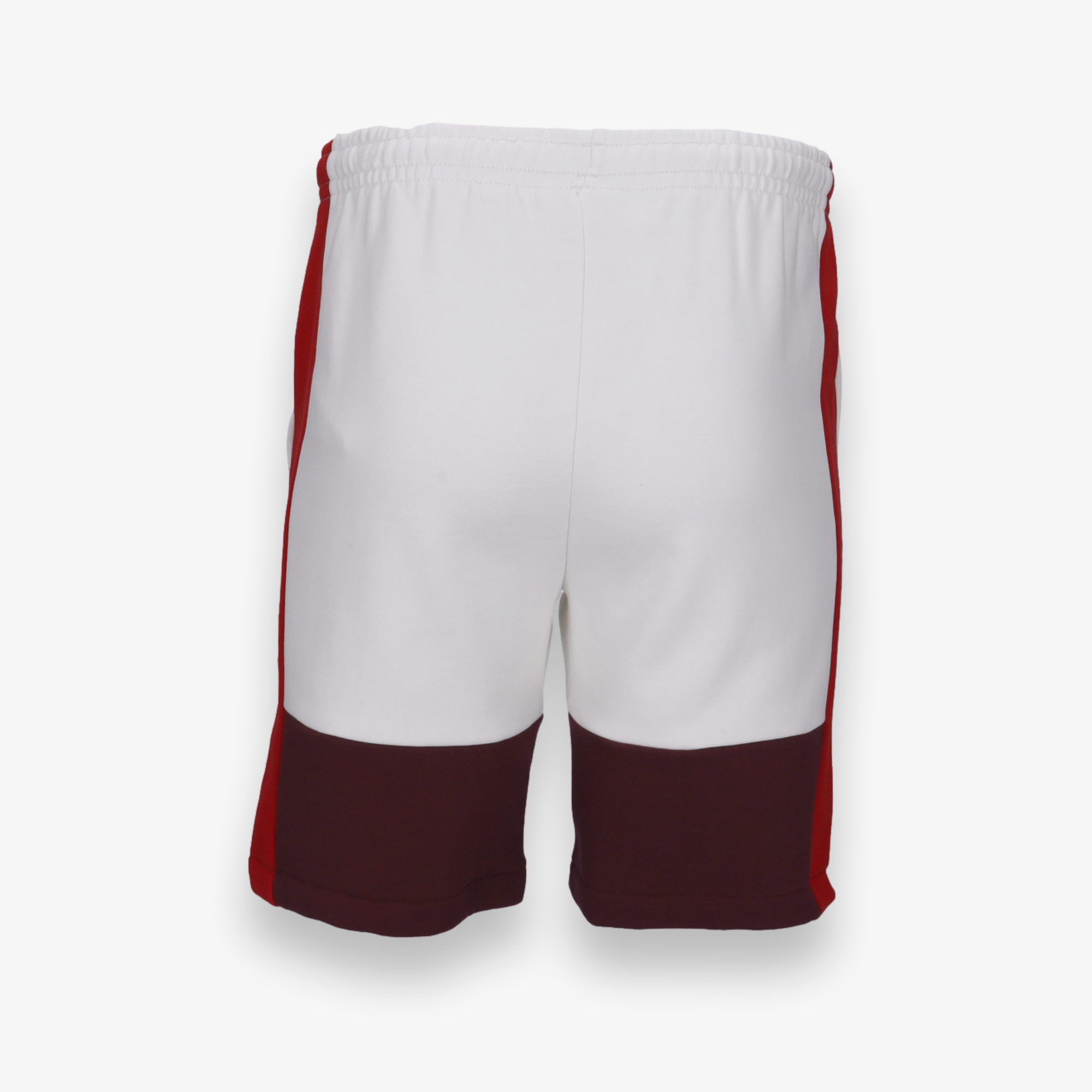 Regular Fit Colorblock Shorts
