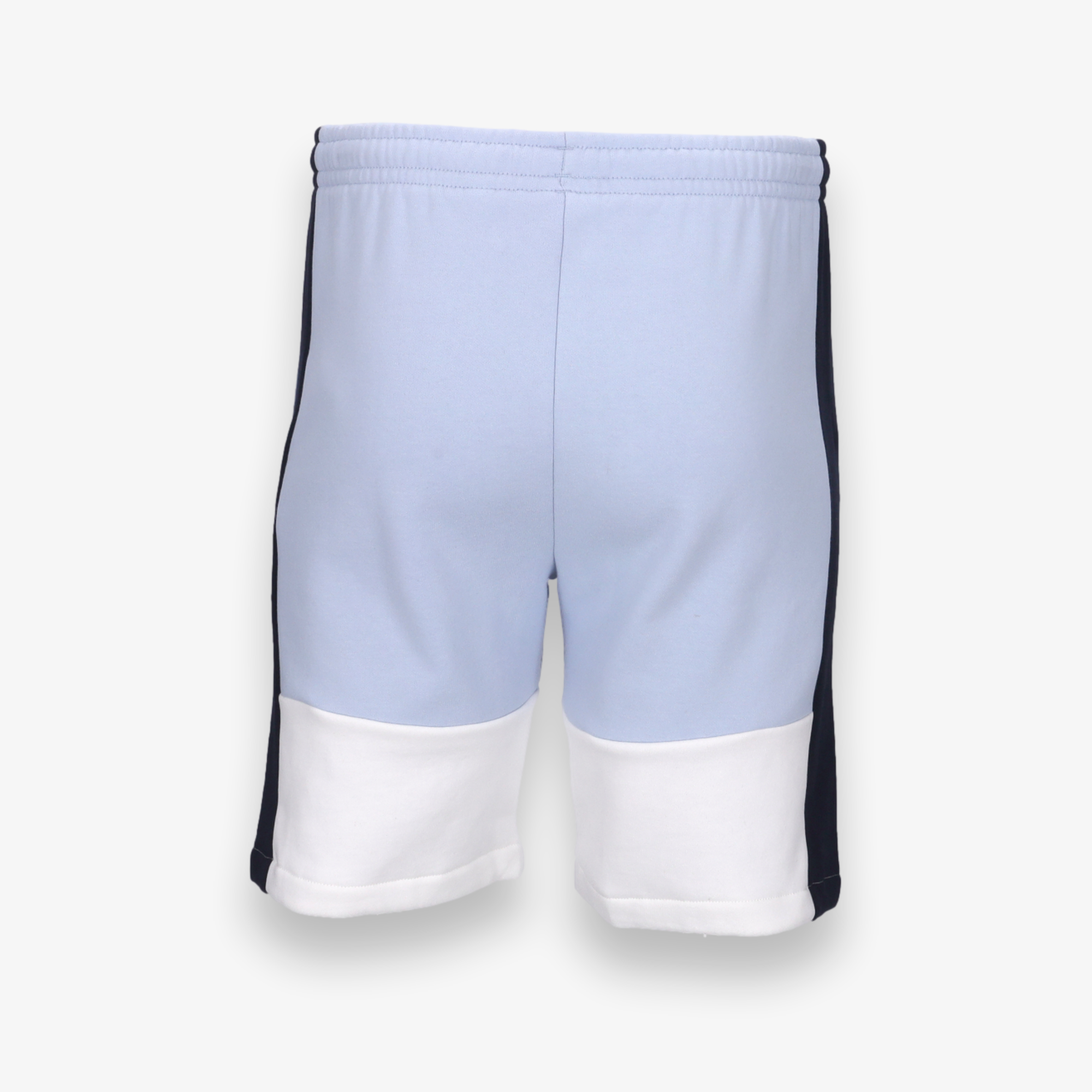 Regular Fit Colorblock Shorts