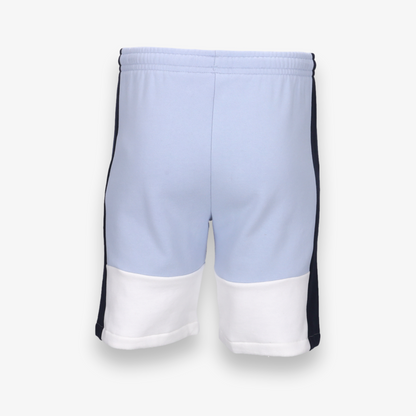 Regular Fit Colorblock Shorts