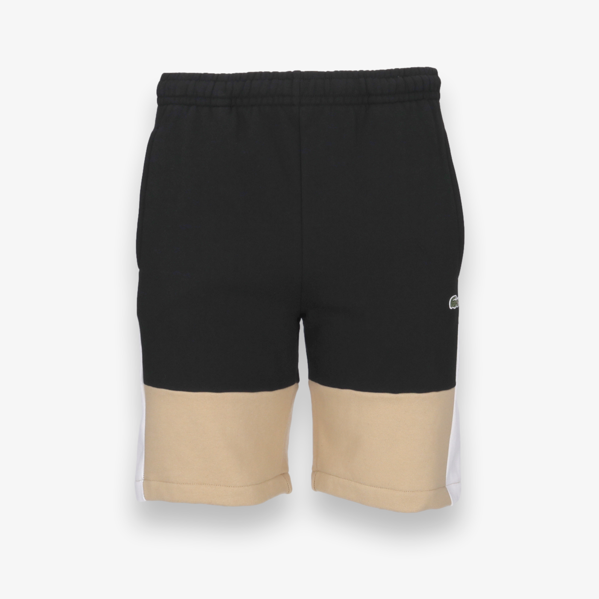 Regular Fit Colorblock Shorts