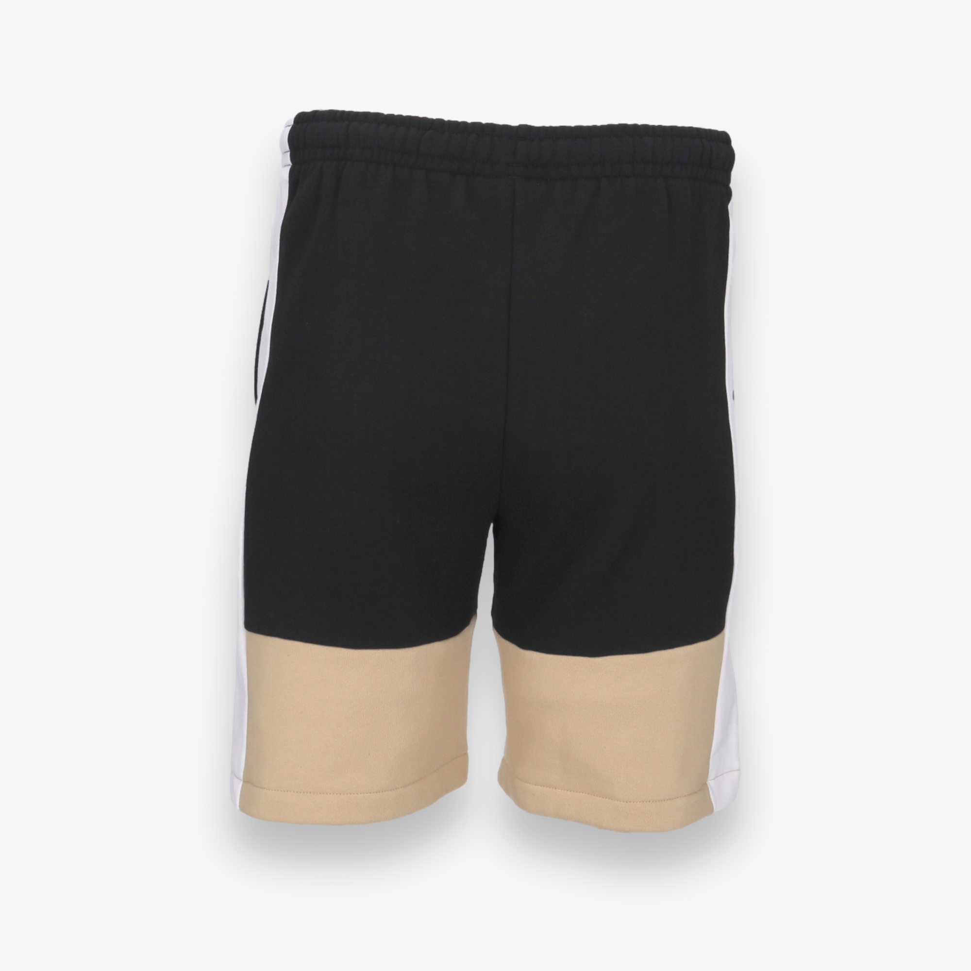 Regular Fit Colorblock Shorts