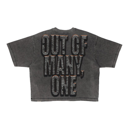 Liberty Ruins Gray T-shirt