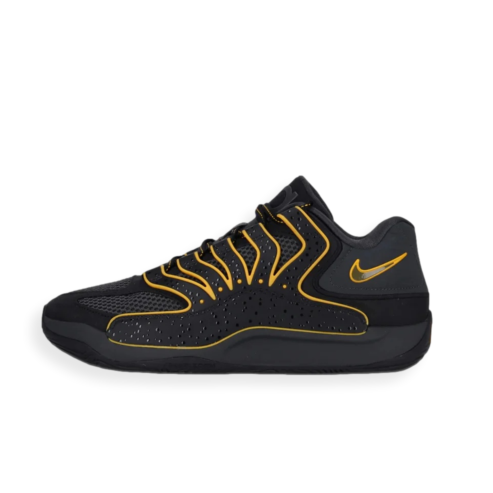 KD 18 Rain City