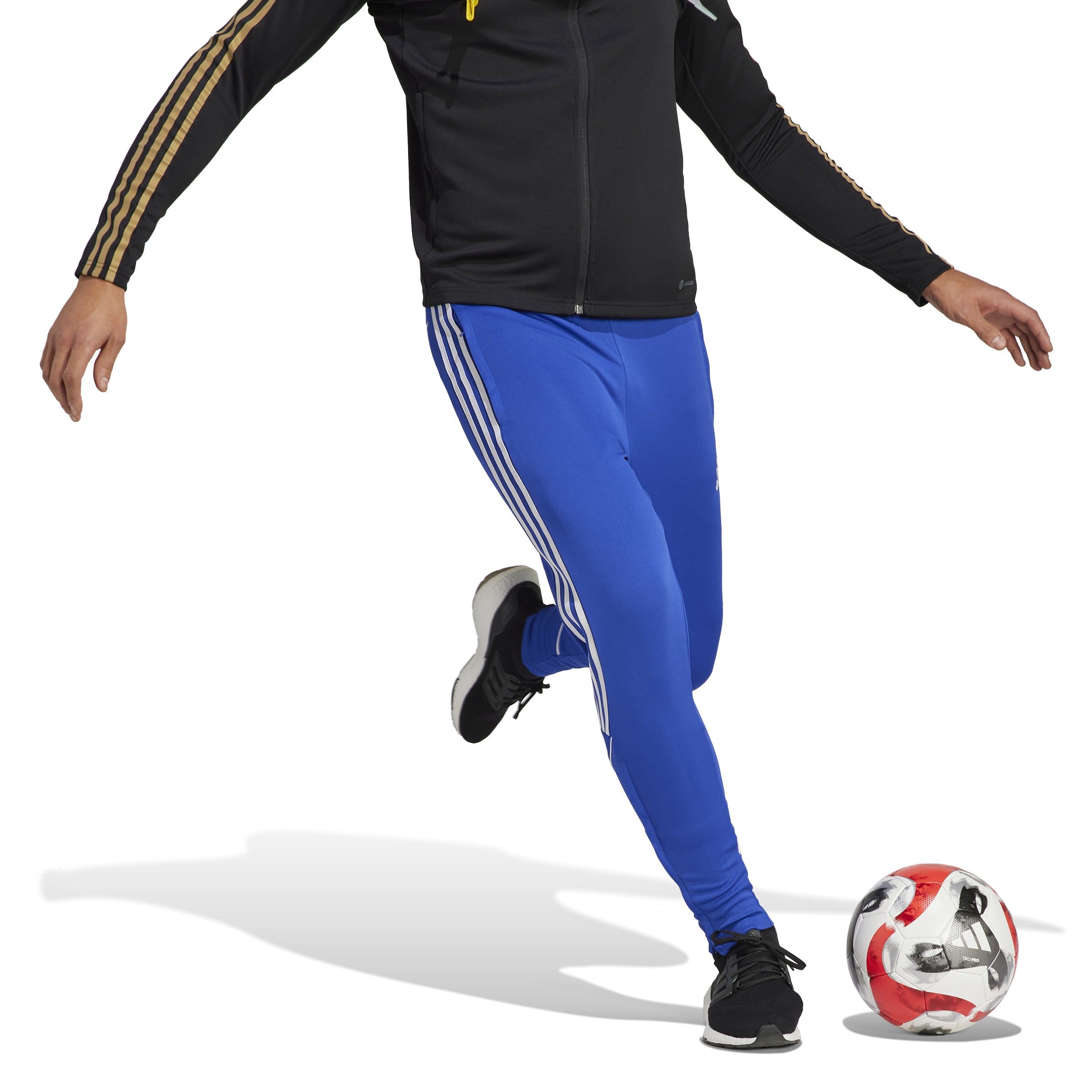 TIRO 23 League Pants Blue