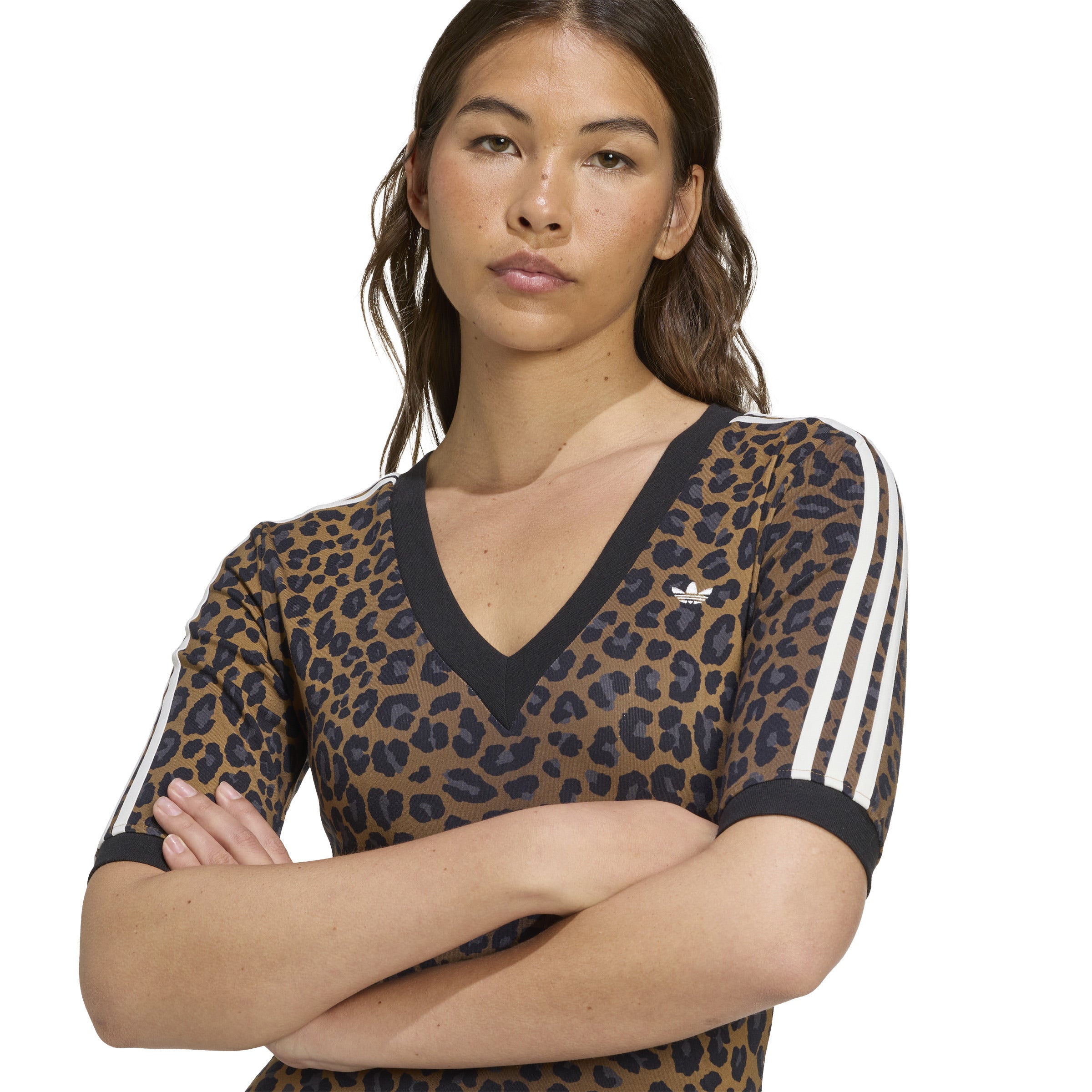 Multicolor Leopard V-Neck Maxi Dress