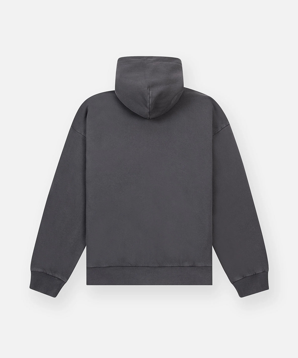 Script Logo Puff Print Hoodie