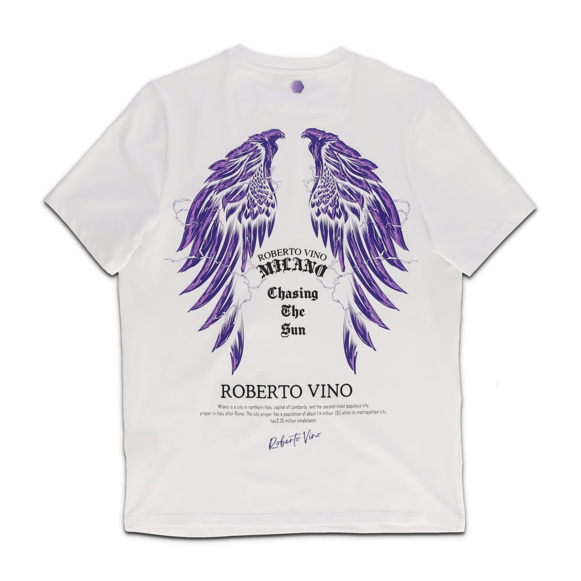 Chasing The Sun RV Cracks T shirts White