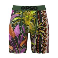 Aztec Fronds-Boxer Brief