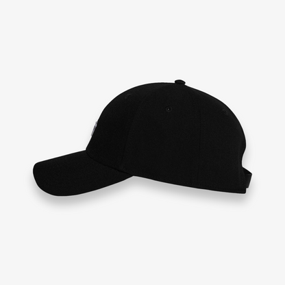 Icon II Dad Hat