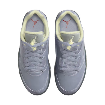 Air Jordan 5 Low Indigo Haze