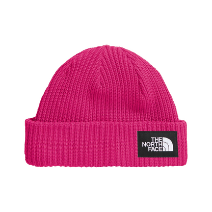 Salty Lined Red Beanie