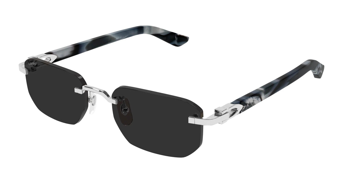 CT0622S 005 53 Sun Glasses