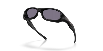 Fatcat Matte Black w/ Prizm Grey