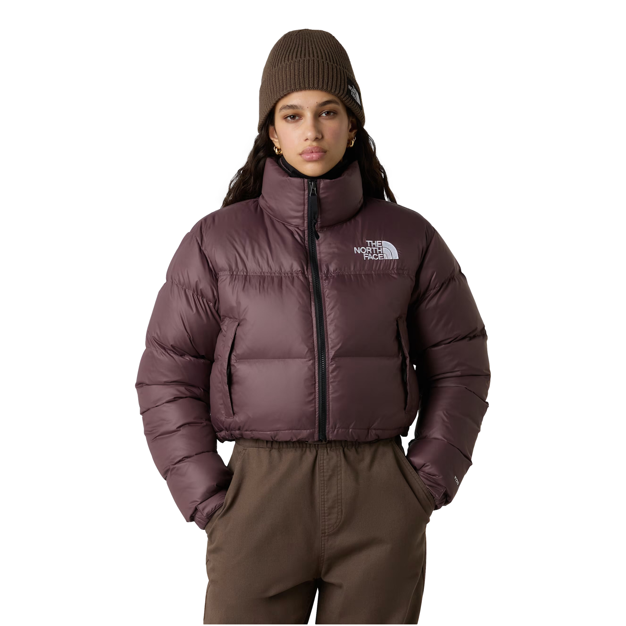 Nuptse Short  Brown Jacket